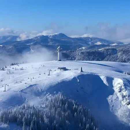 Schwarzwald Mit Sauna 2 Frisch Renoviert Apartment