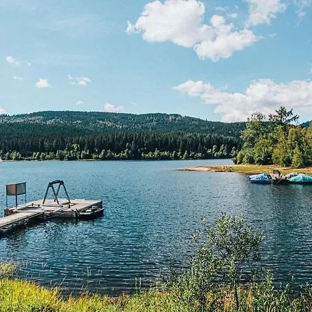 Schwarzwald Mit Sauna 2 Frisch Renoviert