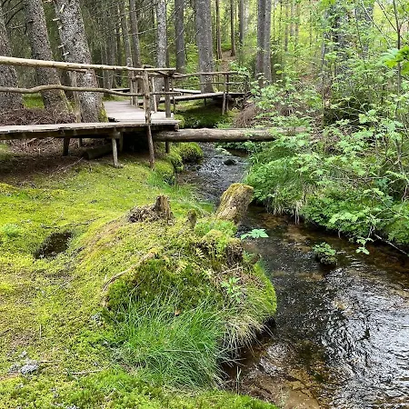 Schwarzwald Mit Sauna 2 Frisch Renoviert Appartamento