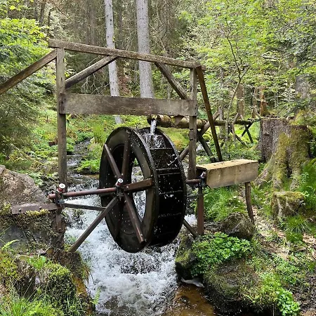 Schwarzwald Mit Sauna 2 Frisch Renoviert Appartamento Todtmoos