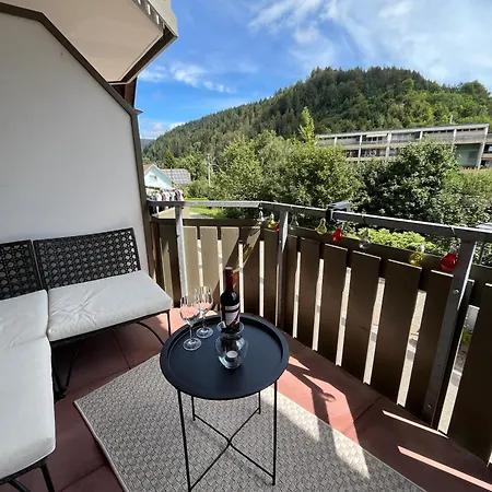 Schwarzwald Mit Sauna 2 Frisch Renoviert Todtmoos