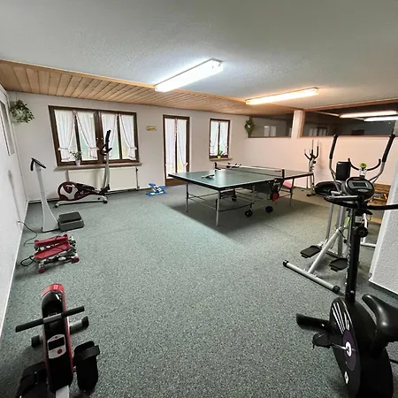 Schwarzwald Mit Sauna 2 Frisch Renoviert * Todtmoos