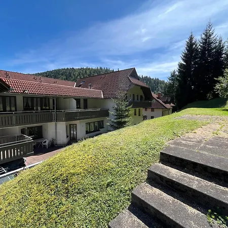 Apartman Schwarzwald Mit Sauna 2 Frisch Renoviert Todtmoos