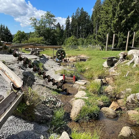 Appartamento Schwarzwald Mit Sauna 2 Frisch Renoviert Todtmoos