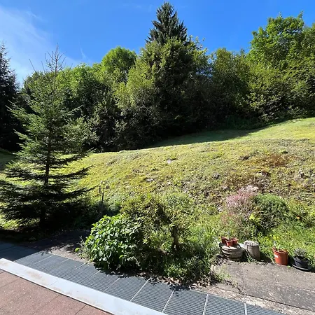 Schwarzwald Mit Sauna 2 Frisch Renoviert * Todtmoos