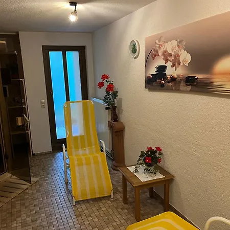 Apartment Schwarzwald Mit Sauna 2 Frisch Renoviert *
