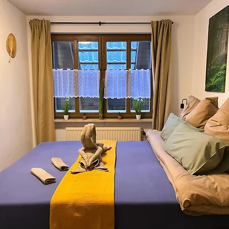 Apartman Schwarzwald Mit Sauna 2 Frisch Renoviert Todtmoos