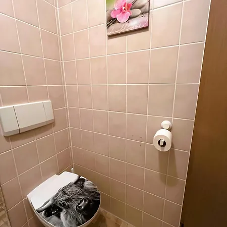 Schwarzwald Mit Sauna 2 Frisch Renoviert