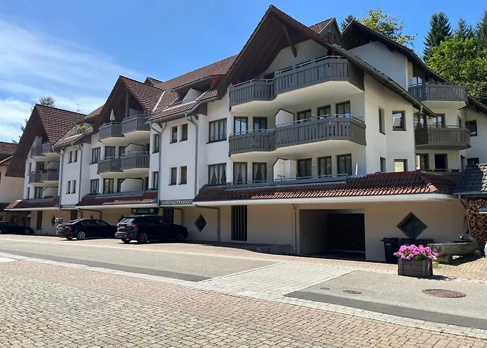 Apartment Schwarzwald Mit Sauna 2 Frisch Renoviert *