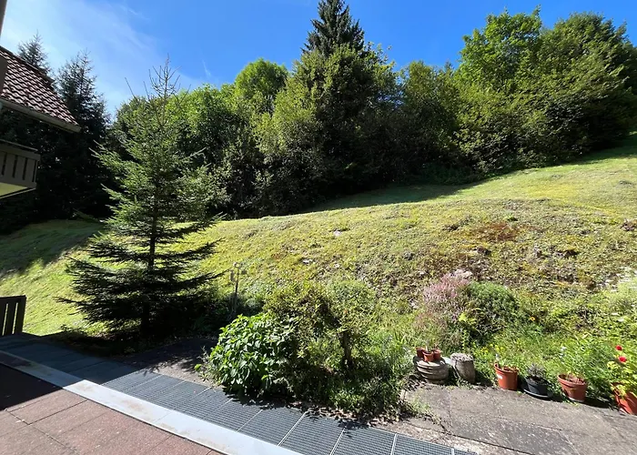 Schwarzwald Mit Sauna 2 Frisch Renoviert * Todtmoos